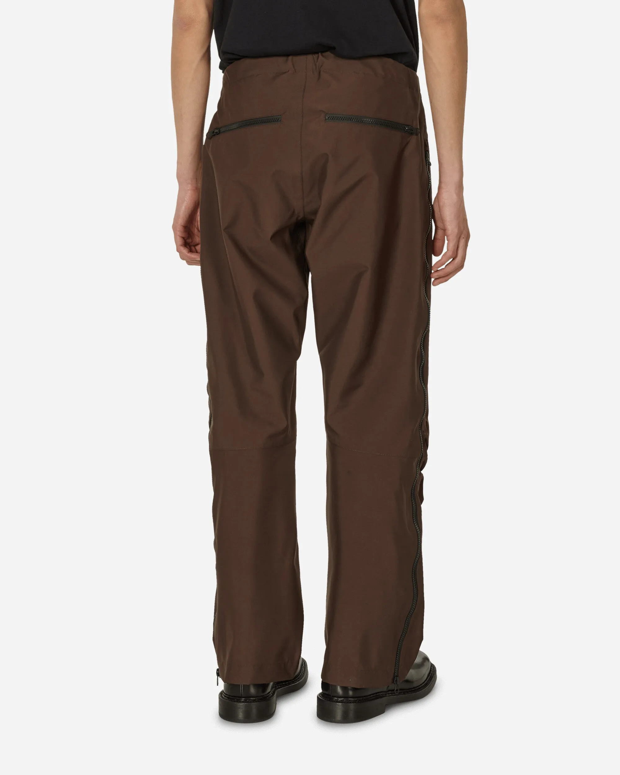 3L WR Arc Pants Soil Brown