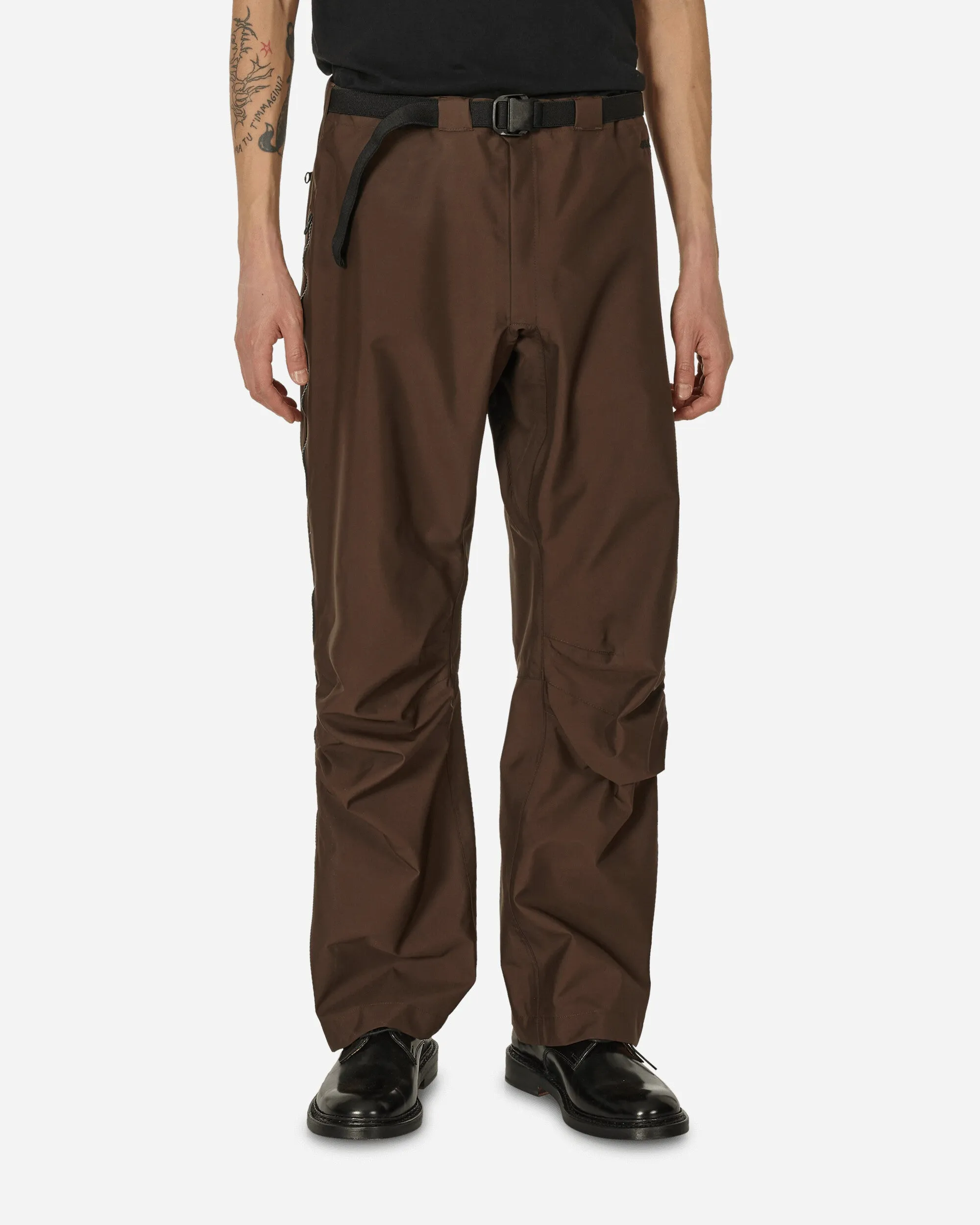 3L WR Arc Pants Soil Brown