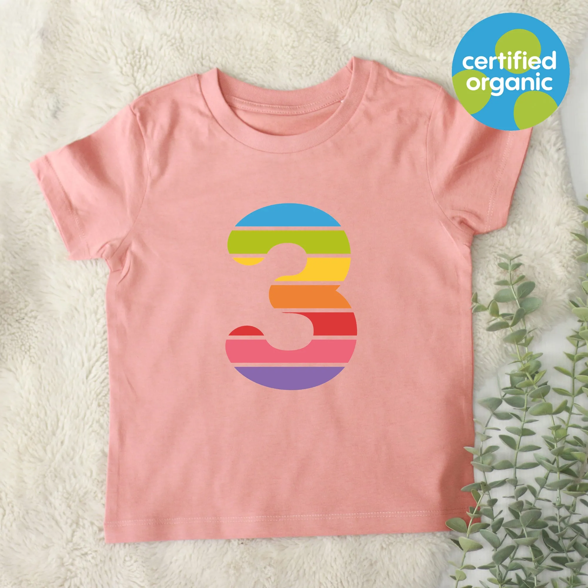 Birthday Big Rainbow Number Kids Organic T-Shirt