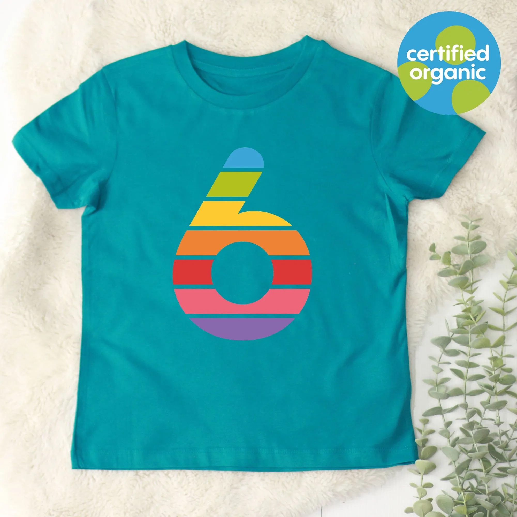 Birthday Big Rainbow Number Kids Organic T-Shirt