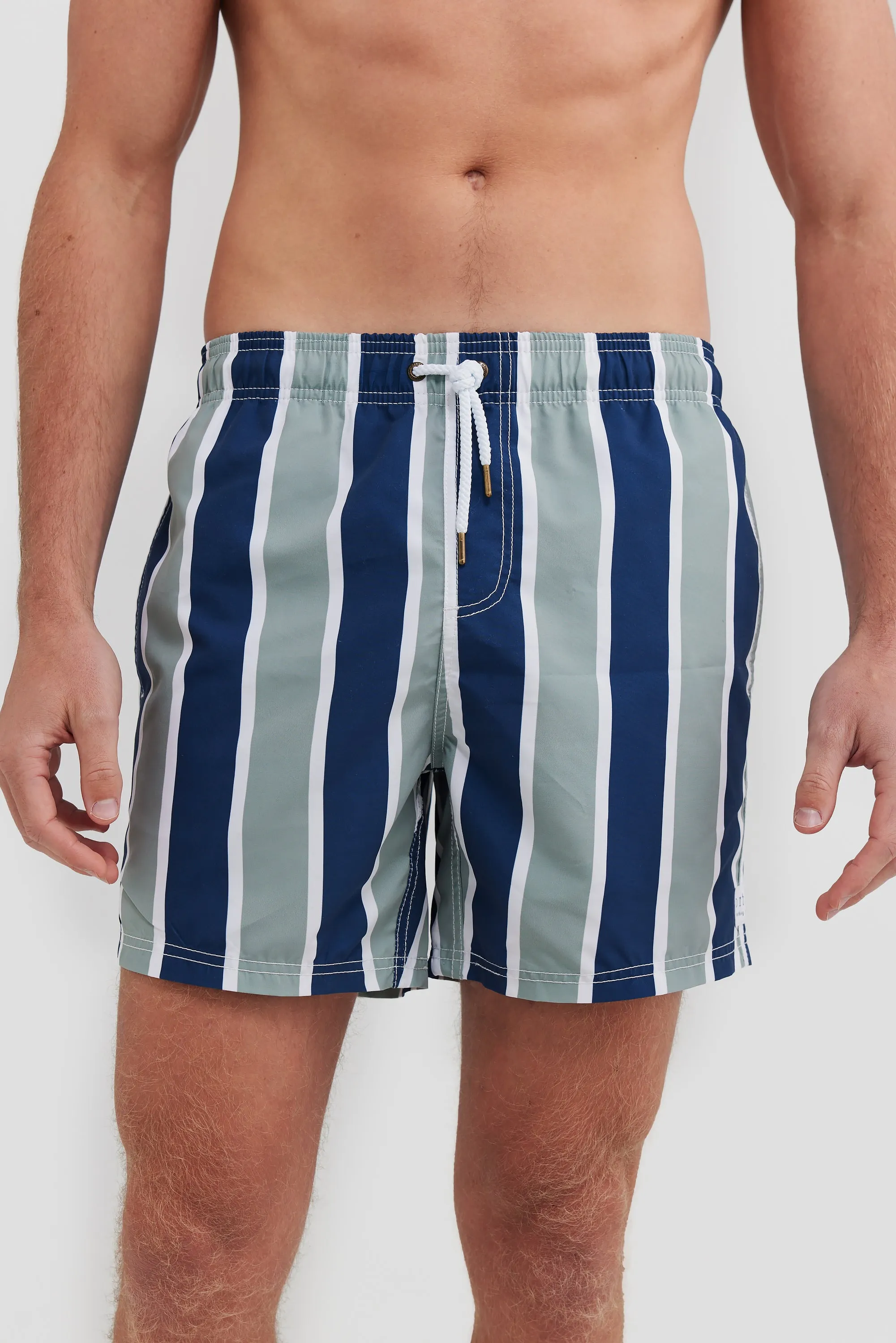 Hamelin Sage Swim Shorts